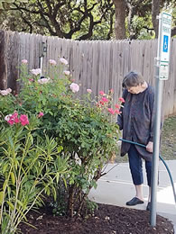 Morning Star Memory Care in Fredericksburg, TX.